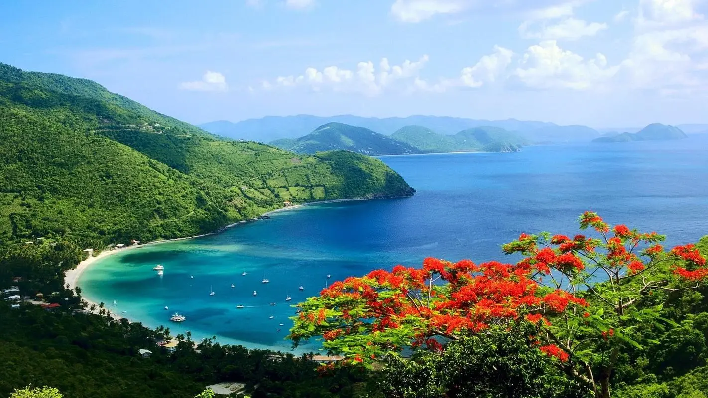 高质量先进高性能